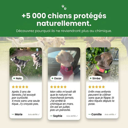 TickShield Pro - 12 Mois De Protection (Chiens)