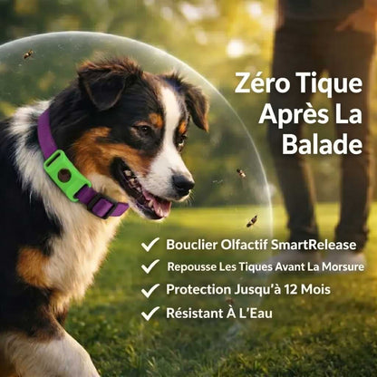 TickShield Pro - 12 Mois De Protection (Chiens)