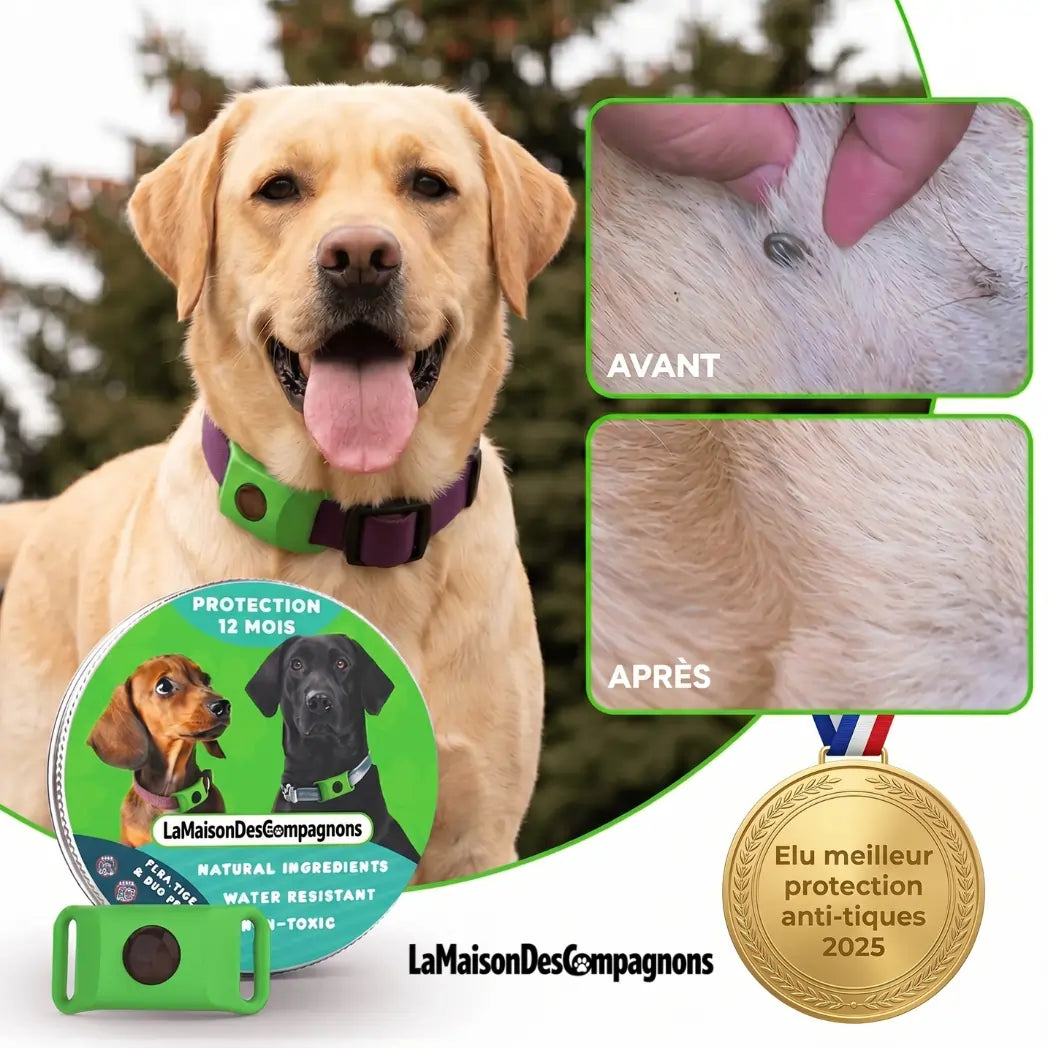 TickShield Pro - 12 Mois De Protection (Chiens)