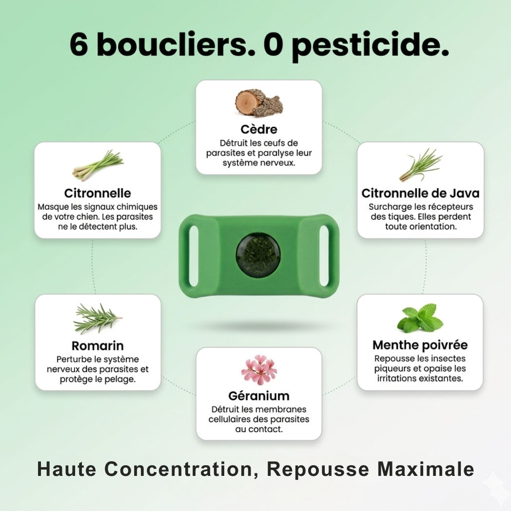 TickShield Pro - 12 Mois De Protection (Chiens)