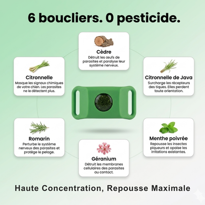 TickShield Pro - 12 Mois De Protection (Chiens)