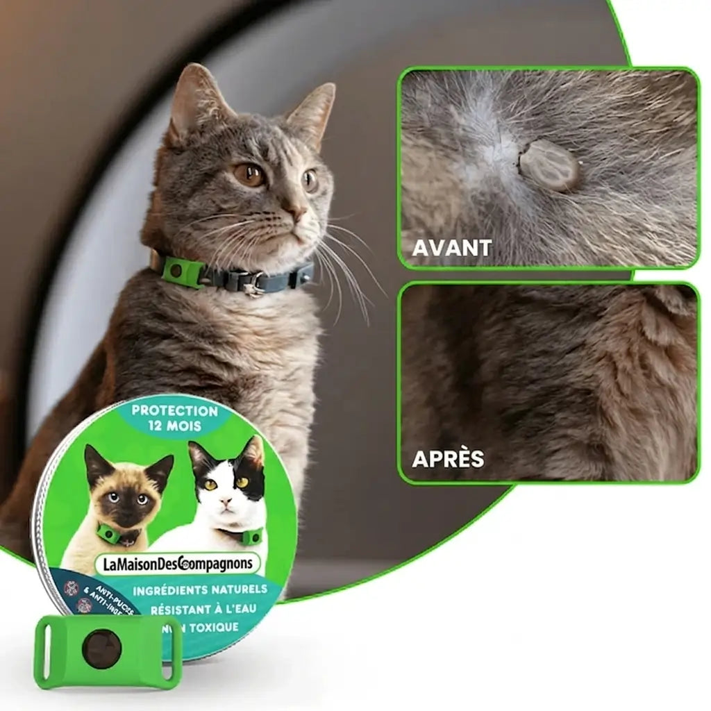 TickShield Pro - 12 Mois De Protection (Chats)