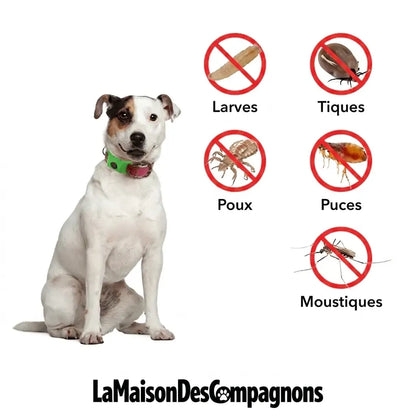 TickShield Pro - 12 Mois De Protection (Chiens)